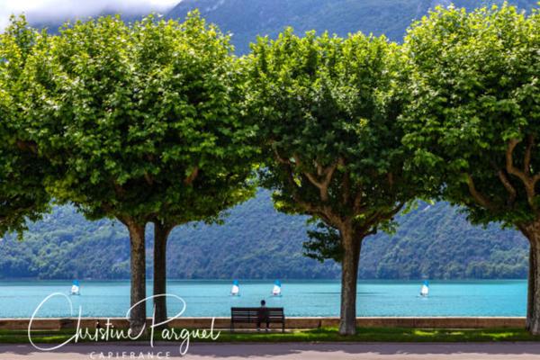 Spacieux Appartement 3 pièces - 78m2 + Terrasse 15m2 - Quartier Lac à AIX LES BAINS