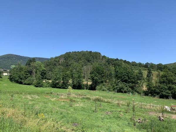 Terrain - 1097 m²