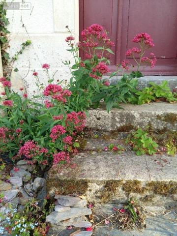 Maison à vendre à La Gacilly dans le Morbihan (56200), ref : 009/1273