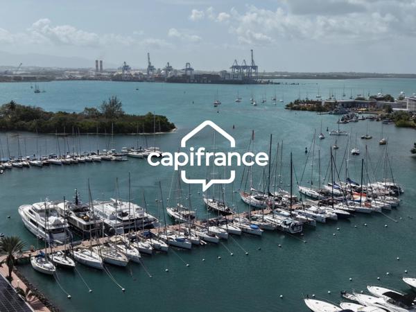 Appartement T3 Marina Grande terrasse (971)