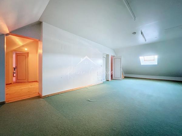 Millau (12100) MAISON TYPE 10 DE 422 M² SUR SON TERRAIN CONSTRUCTIBLE DE 6680 M²