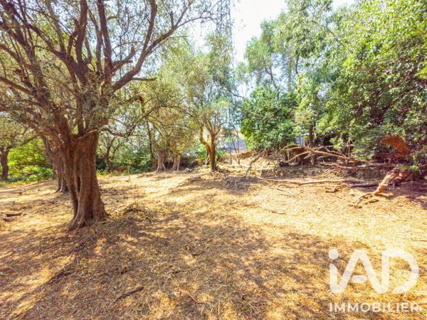 Terrain à vendre 846 m² Grasse