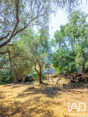 Terrain à vendre 846 m² Grasse