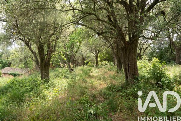 Terrain à vendre 846 m² Grasse