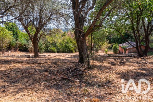 Terrain à vendre 846 m² Grasse