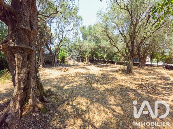 Terrain à vendre 846 m² Grasse