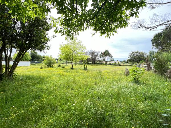 Ensemble immobilier La Tremblade | LA TREMBLADE IMMO