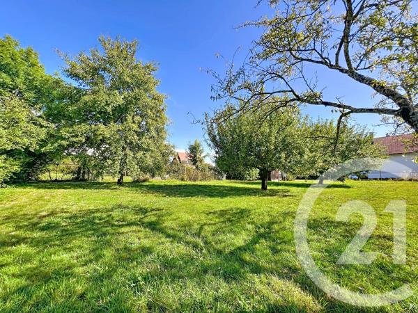 Maison à vendre  6 pièces - 116 m2 MONTBELIARD - 25