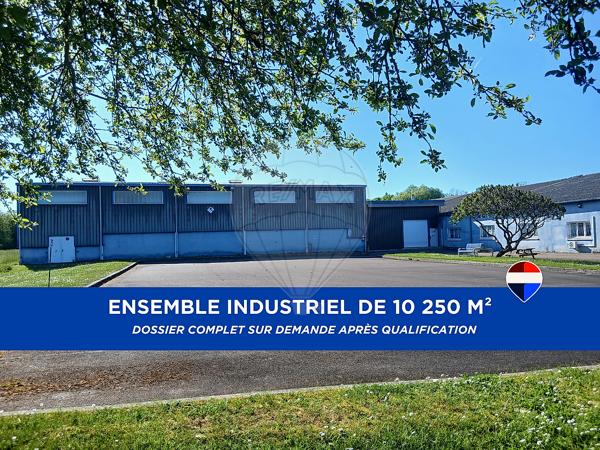 Local d’activité à vendre - Brienon-sur-Armançon, Yonne - 89