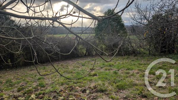 Maison à vendre  7 pièces - 122 m2 ST SEVER - 40