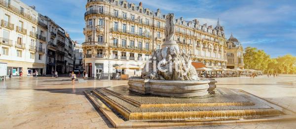 Appartement 3 pièces - 75 m²