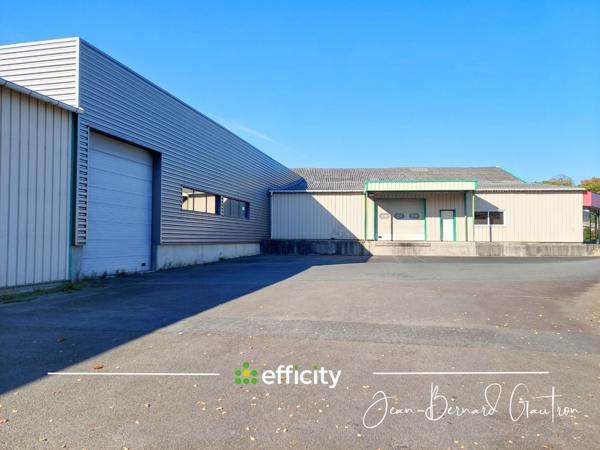 Local Commercial 8 pièces - 1560 m²