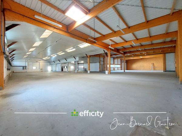 Local Commercial 8 pièces - 1560 m²