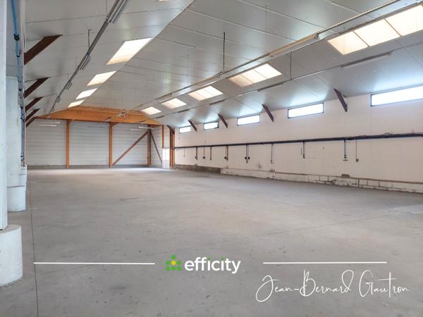 Local Commercial 8 pièces - 1560 m²