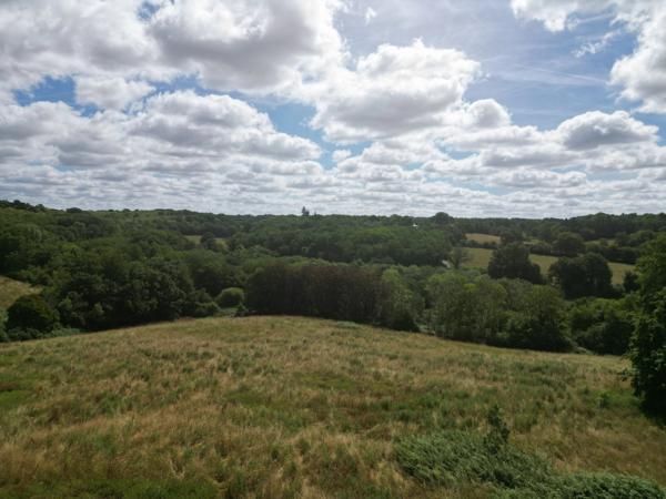 Une charmante maison individuelle offrant une vue magnifique
