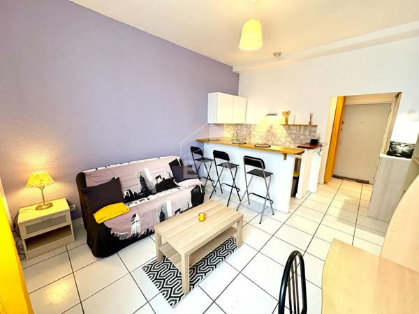 STUDIO MEUBLE A LOUER - BLOIS - QUARTIER CABOCHON, SECTEUR CALME, PARKING PRIVATIF