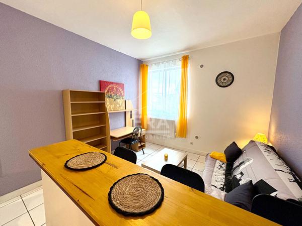 STUDIO MEUBLE A LOUER - BLOIS - QUARTIER CABOCHON, SECTEUR CALME, PARKING PRIVATIF