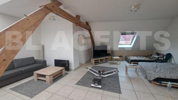 Une propriété d'exception dans un moulin historique, avec potentiel d'investissement