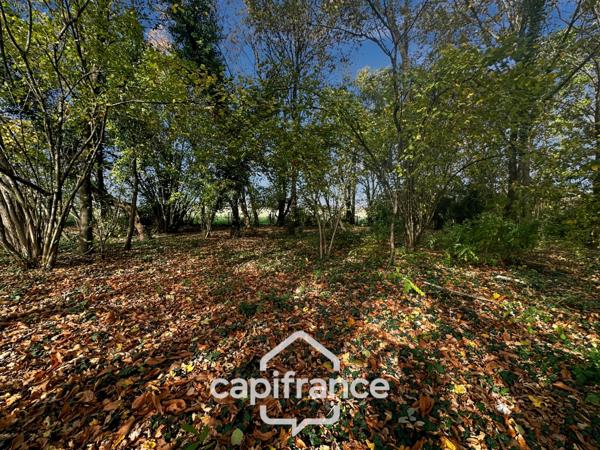 À vendre – Terrain de loisir 4 500 m² avec abris de jardin "chalet" aménagé – Lavernat (72, Sarthe)