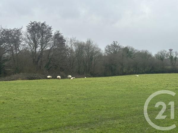 Maison à vendre  9 pièces - 284,58 m2 ST BRIAC SUR MER - 35