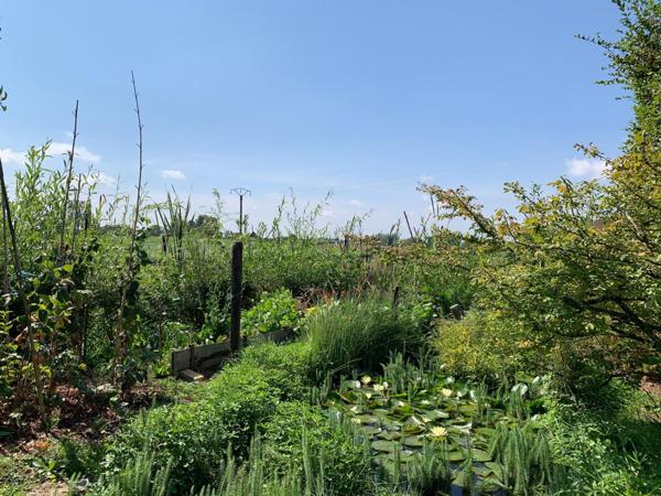 La maison champêtre et son jardin