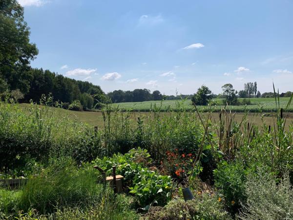 La maison champêtre et son jardin