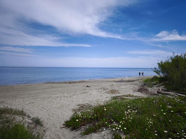 Poggio-Mezzana (20230) Appartement T3 49m2 Résidence Acqua Linda - Poggio Mezzana