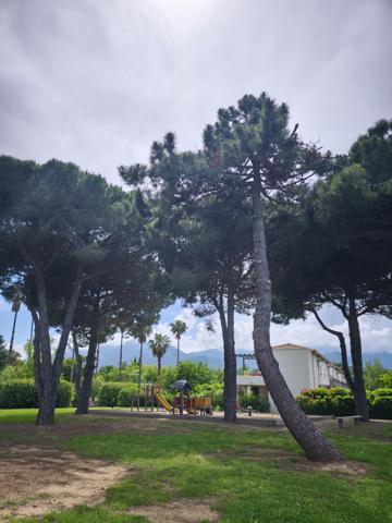 Poggio-Mezzana (20230) Appartement T3 49m2 Résidence Acqua Linda - Poggio Mezzana