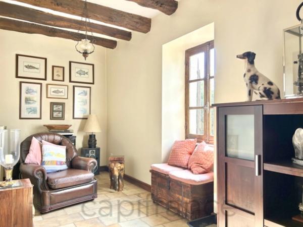 Charmante maison en pierres avec 4 chambres, Beaulieu sur Dordogne