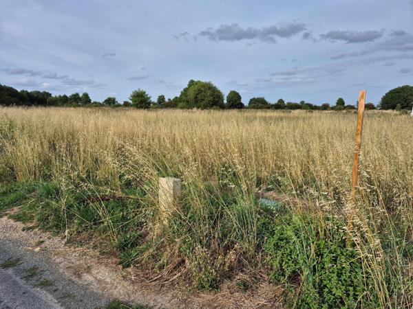 Magnifique terrain viabilisé de 3000m2