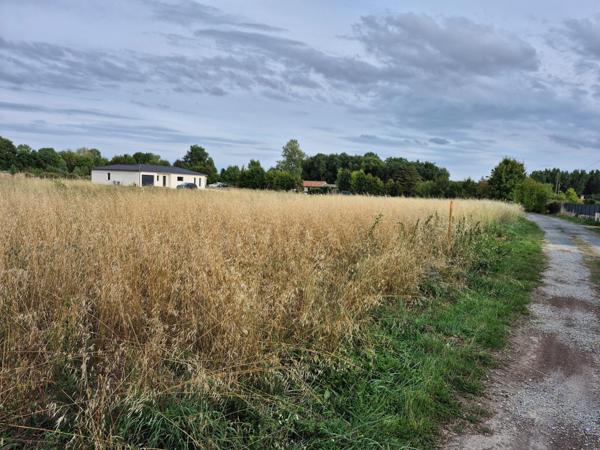 Magnifique terrain viabilisé de 3000m2