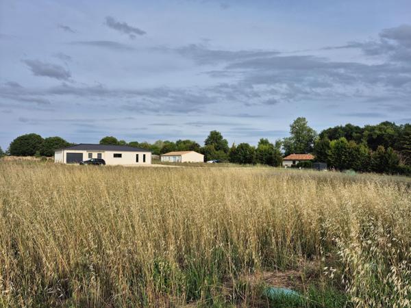 Magnifique terrain viabilisé de 3000m2