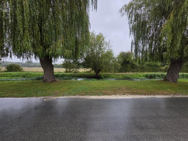 Maison à SAINT GENOU (36500)