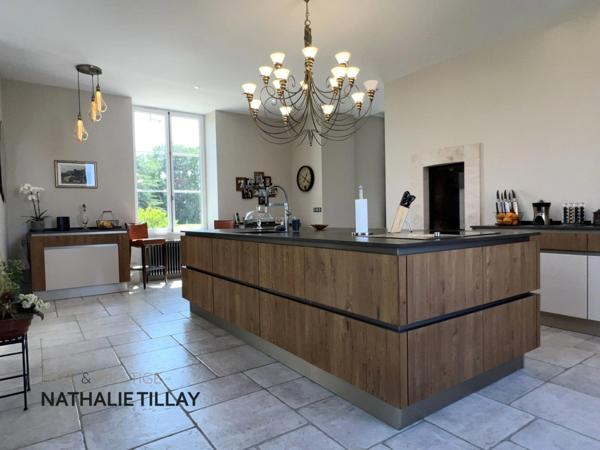 Orléans, demeure de prestige, propriete à vendre, chateau 440 m², piscine, tennis, maison d'amis 85 m², dépendances potentiel aménageable , parc paysagé et arboré 4 ha