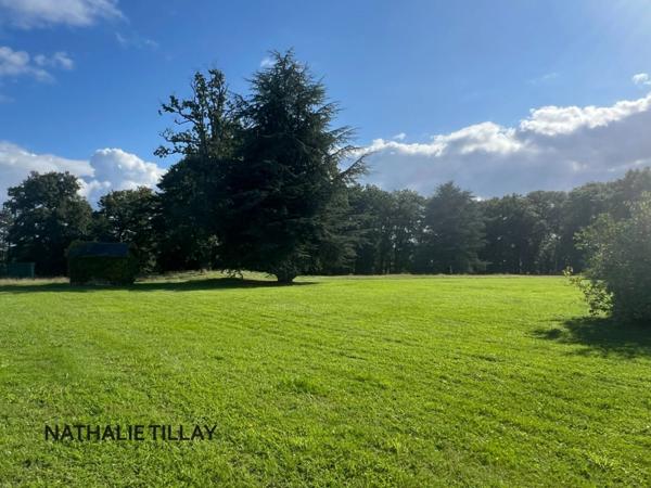 Orléans, demeure de prestige, propriete à vendre, chateau 440 m², piscine, tennis, maison d'amis 85 m², dépendances potentiel aménageable , parc paysagé et arboré 4 ha