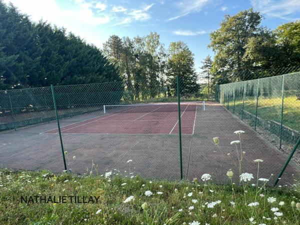 Orléans, demeure de prestige, propriete à vendre, chateau 440 m², piscine, tennis, maison d'amis 85 m², dépendances potentiel aménageable , parc paysagé et arboré 4 ha