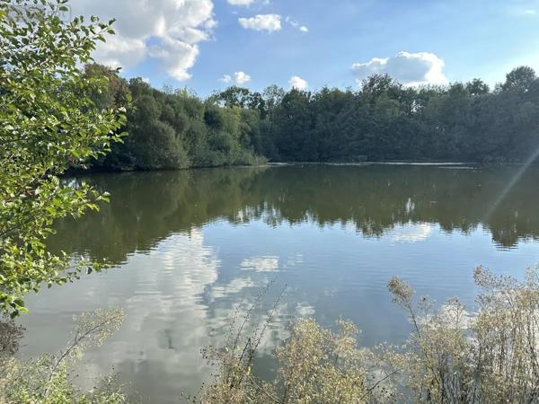 Achat - Terrain de loisirs, bois, étangs Saint-Georges-de-Montaigu 85600 18700 m 2