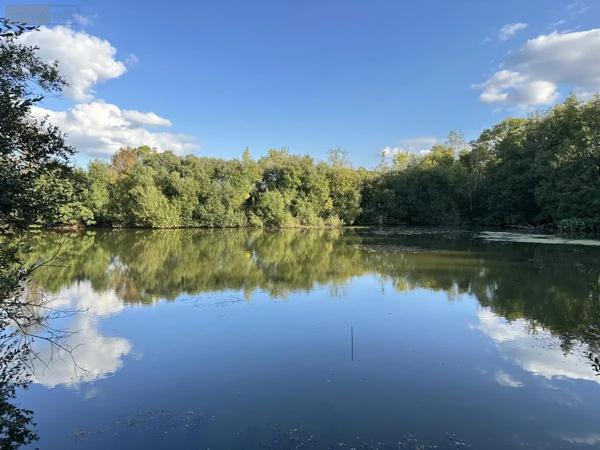Achat - Terrain de loisirs, bois, étangs Saint-Georges-de-Montaigu 85600 18700 m 2