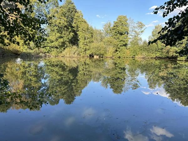 Achat - Terrain de loisirs, bois, étangs Saint-Georges-de-Montaigu 85600 18700 m 2
