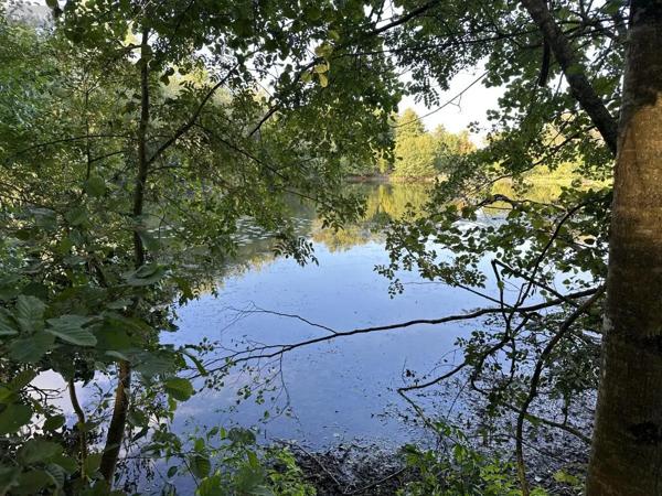 Achat - Terrain de loisirs, bois, étangs Saint-Georges-de-Montaigu 85600 18700 m 2