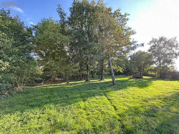 Achat - Terrain de loisirs, bois, étangs Saint-Georges-de-Montaigu 85600 18700 m 2