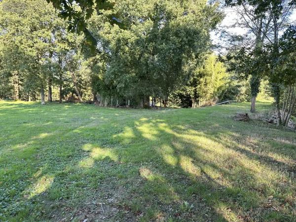 Achat - Terrain de loisirs, bois, étangs Saint-Georges-de-Montaigu 85600 18700 m 2