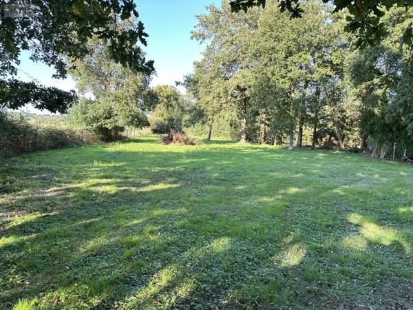 Achat - Terrain de loisirs, bois, étangs Saint-Georges-de-Montaigu 85600 18700 m 2