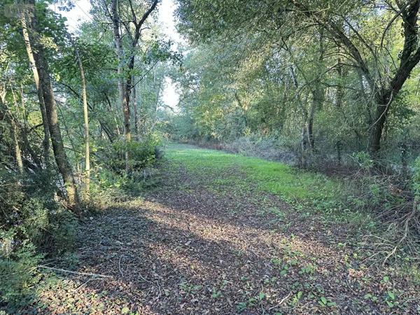 Achat - Terrain de loisirs, bois, étangs Saint-Georges-de-Montaigu 85600 18700 m 2