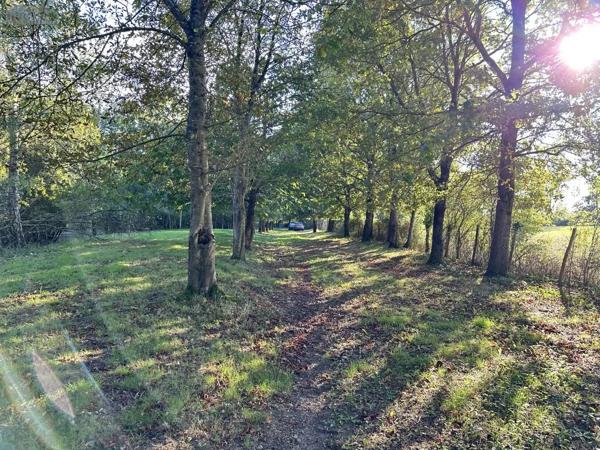 Achat - Terrain de loisirs, bois, étangs Saint-Georges-de-Montaigu 85600 18700 m 2