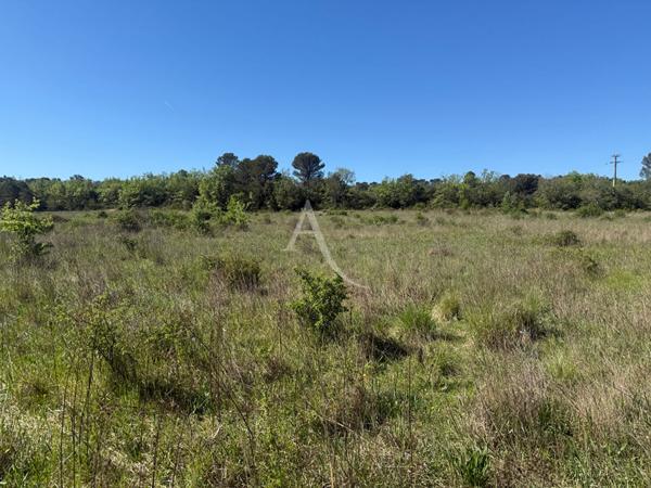 TERRAINS AGRICOLES PLATS ACCÈS DIRECT 42000M2