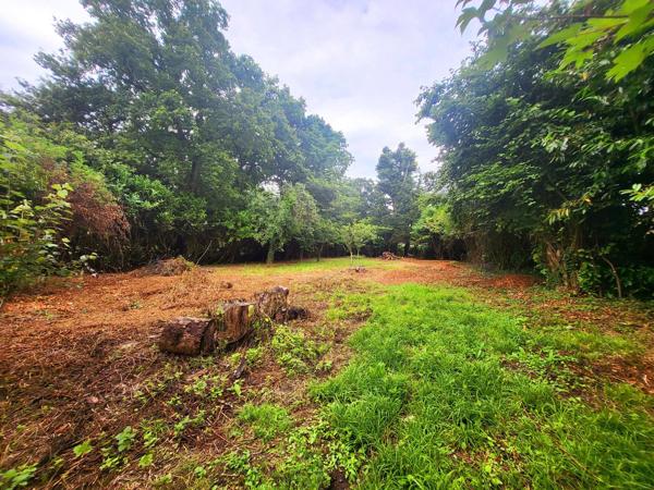 Terrain construcrible environs 1000m² 5' des plages