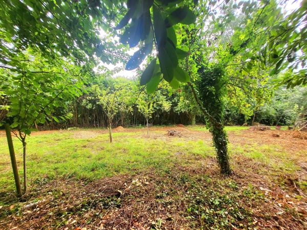Terrain construcrible environs 1000m² 5' des plages