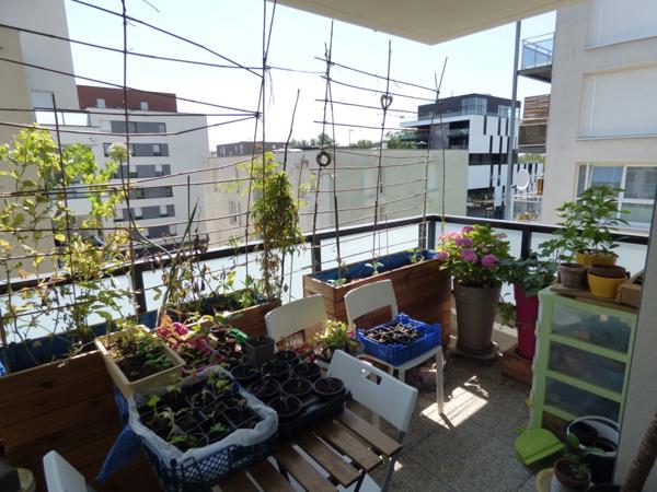 Appartement à vendre 2 pièces LINGOLSHEIM (67)