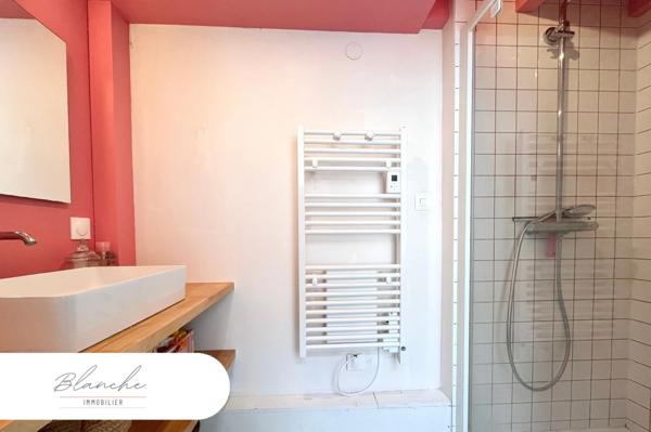Appartement Duplex à vendre 3 pièces LILLE (59)